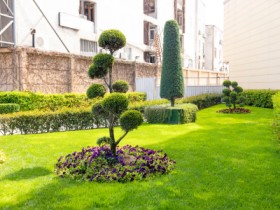Designing Outdoor Paradises with PS Design’s Landscape Services
